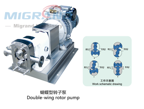 GD-150A Feeding pump (rotor pump)-1 GD-150A ปั๊มป้อนอาหาร(ปั๊มโรเตอร์)-1
