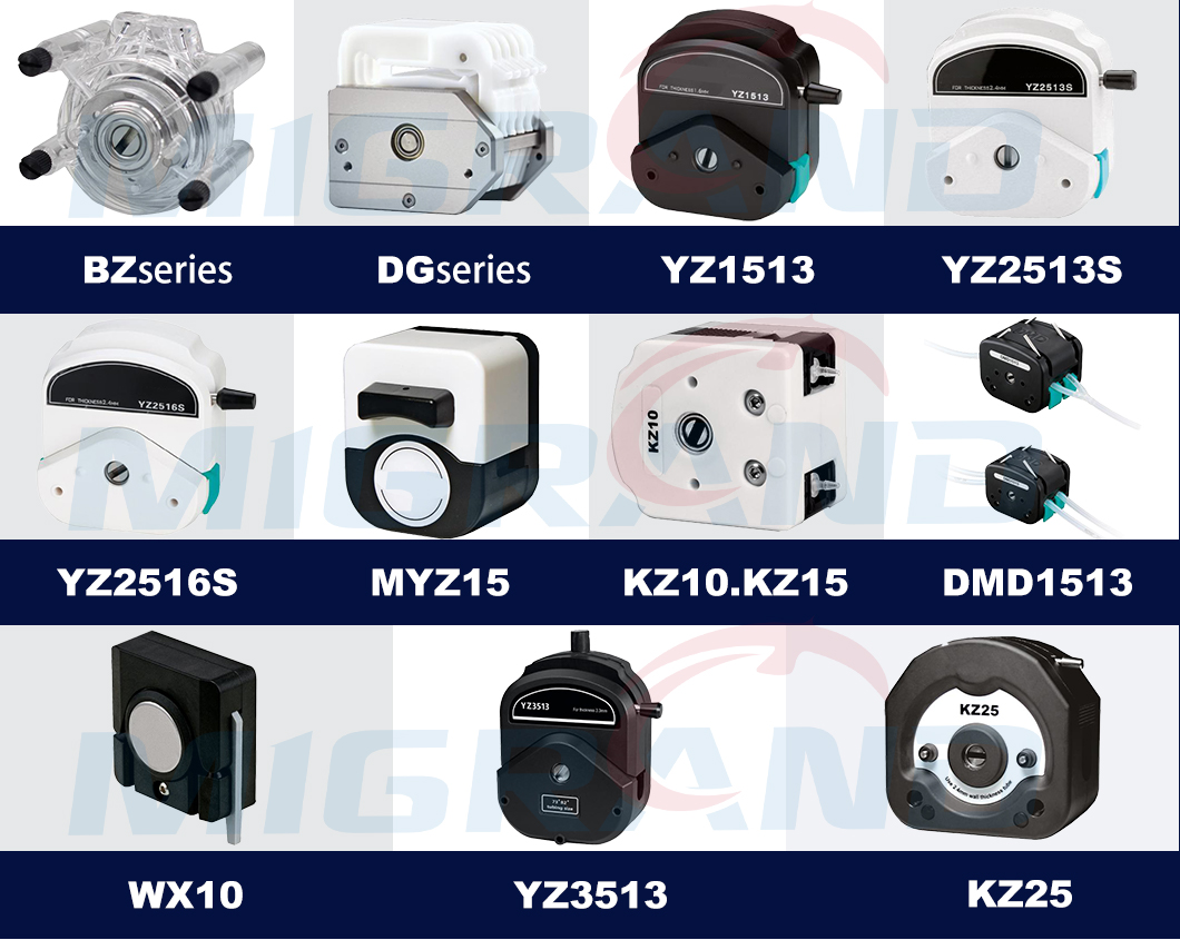 แค็ตตาล็อกหัวปั๊ม