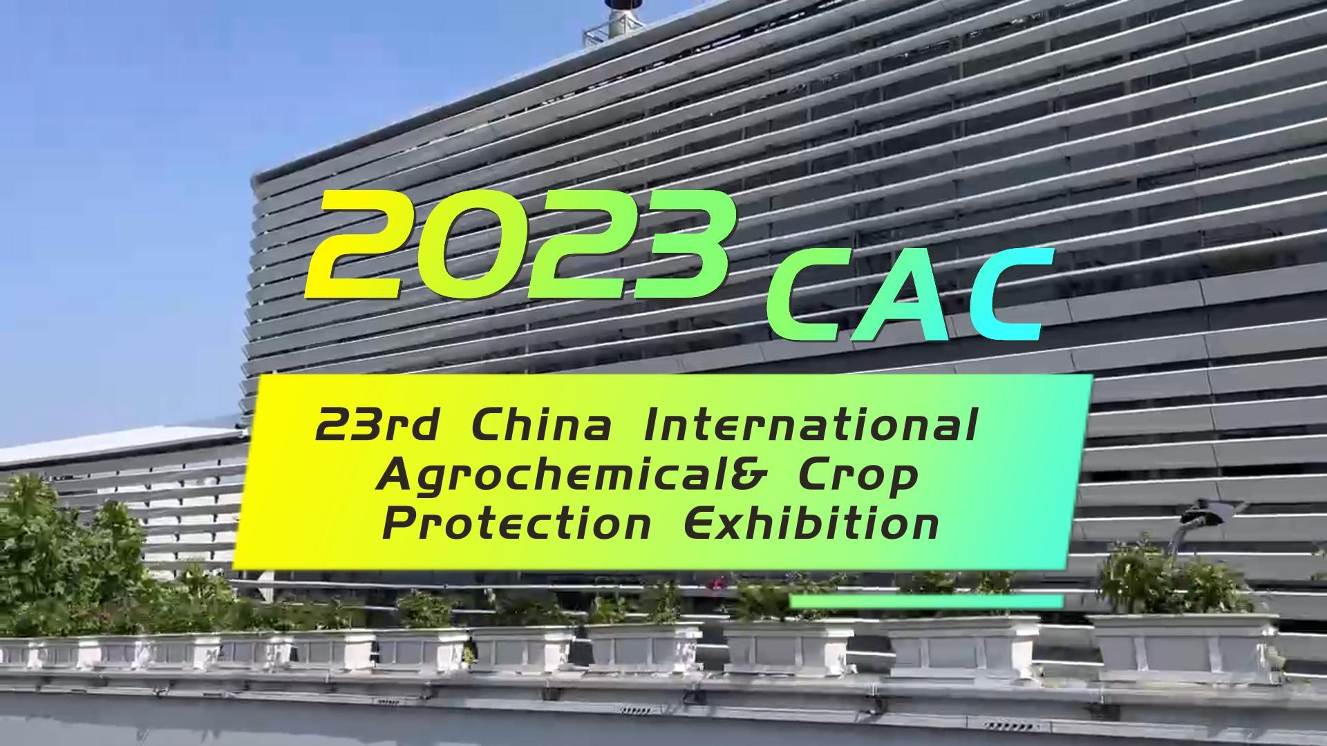 การแสดงสดของนิทรรศการเครื่องจักรบรรจุภัณฑ์ CACE2023